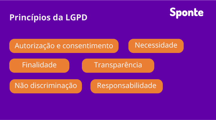 principios-da-lgpd